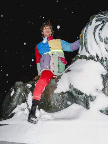 lumière - noel lion